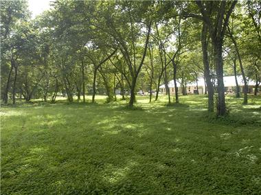 Land for sale in Brasilito (Guanacaste)