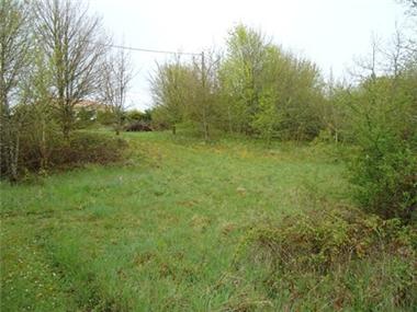 Land for sale in Ruffec (Poitou-Charentes)