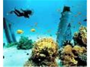 Commercial for sale in Puerto del Carmen (Canary Islands)