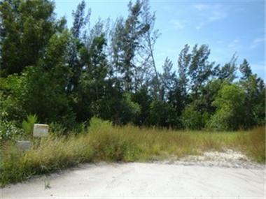 Land for sale in Naples (Florida)