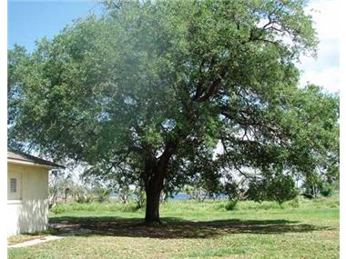 House/villa for sale in Saint Cloud (Florida)