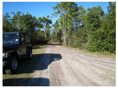 Land for sale in Christmas (Florida)