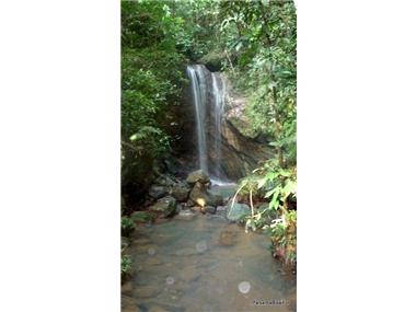 Commercial for sale in Penonome (Cocle)