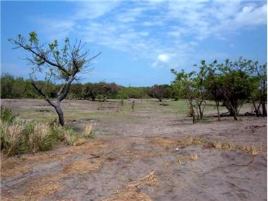 Commercial for sale in Punta Chame (Panama)