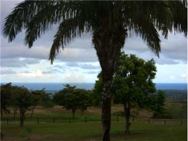 House/villa for sale in Copecito (Panama)