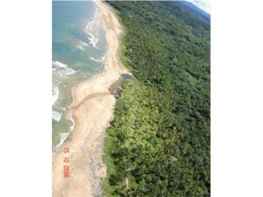 Commercial for sale in Palenque (Colon)