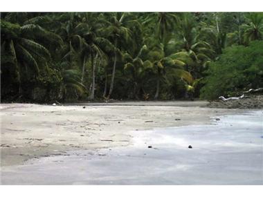 Commercial for sale in Chiriqui (Chiriqui)