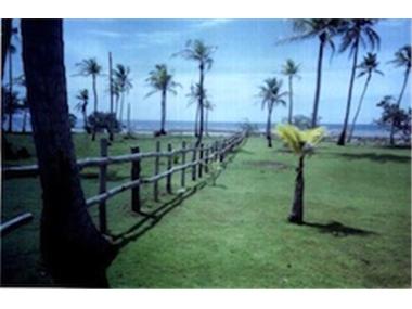 Commercial for sale in Palenque (Colon)