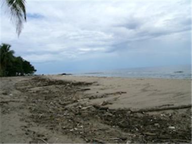Commercial for sale in Cocle del Norte (Colon)