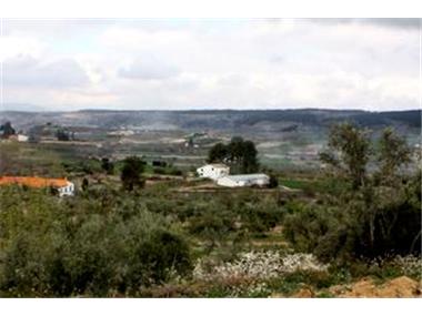 Finca for sale in Agres (Valencia)