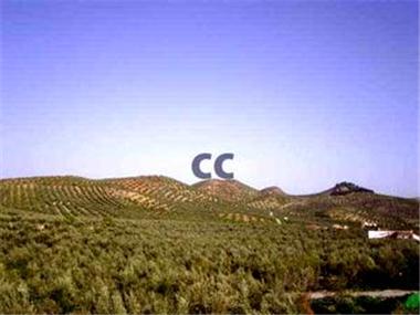Finca for sale in El Sabariego (Andalucia)