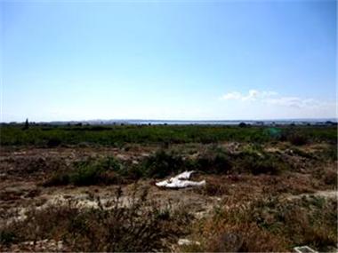 Finca for sale in Guardamar de la Segura (Valencia)