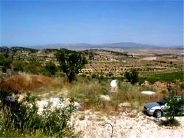 Land for sale in Pinoso (Valencia)