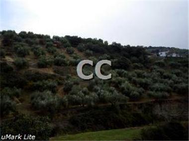 Finca for sale in Fuensanta de Martos (Andalucia)