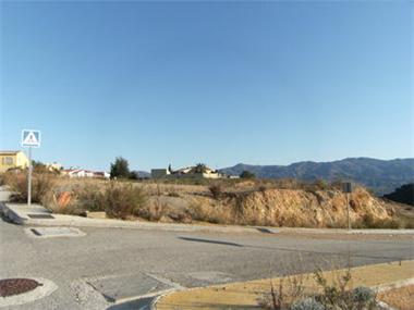 Land for sale in Bedar (Andalucia)