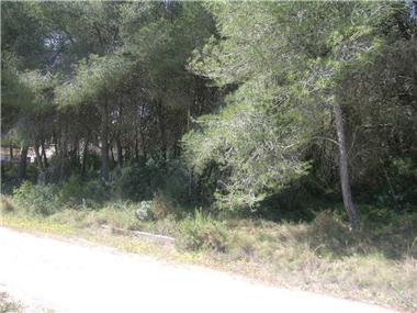 Plot for sale in Javea (Valencia)