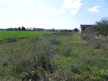 Land for sale in Saumur (Region Pays de la Loire)
