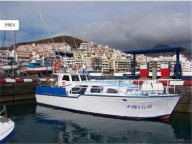 - Commercial Property for sale in Adeje (Canary Islands)