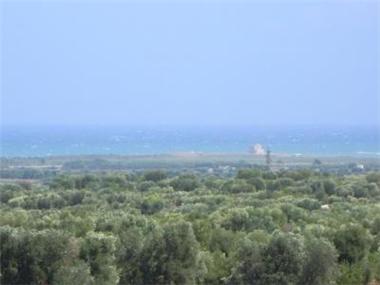 Land for sale in Carovigno