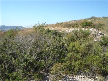 Land for sale in Vavla