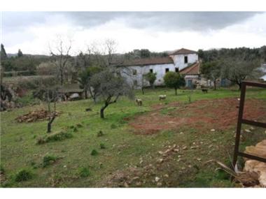 Rural House With Land for sale in Coimbra
