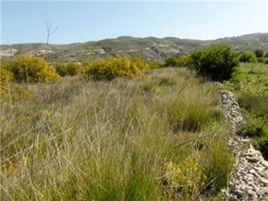 Land for sale in Lania