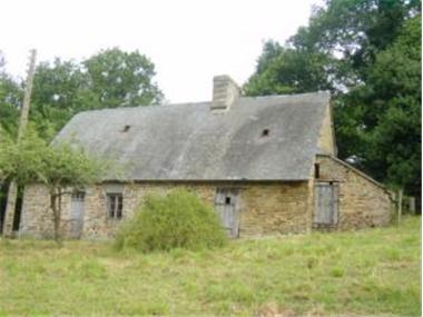 Cottage for sale in Fougerolles-du-Plessis