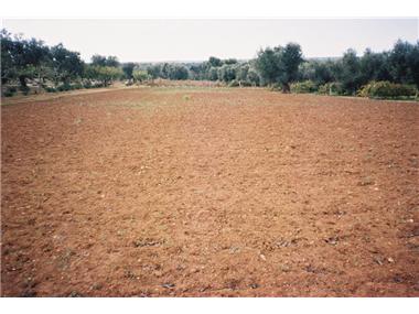 Land for sale in Lecce