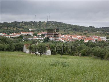 Land for sale in Alcacovas