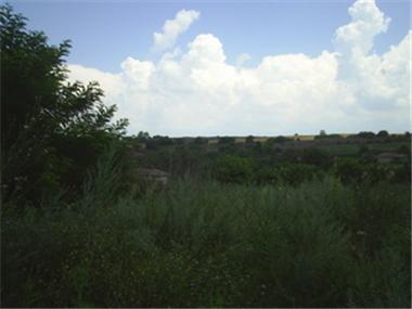 Land for sale in Dobrich