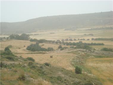 Land for sale in Pyla