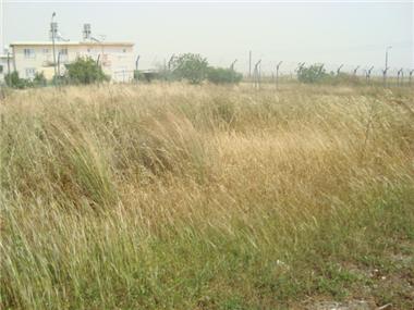 Land for sale in Pyla