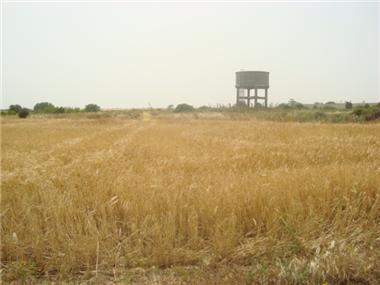 Land for sale in Pyla