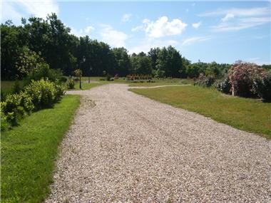 Land for sale in Montpeyroux