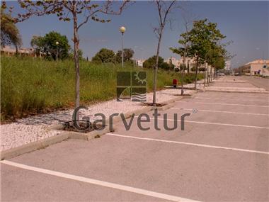 Land for sale in Conceicao