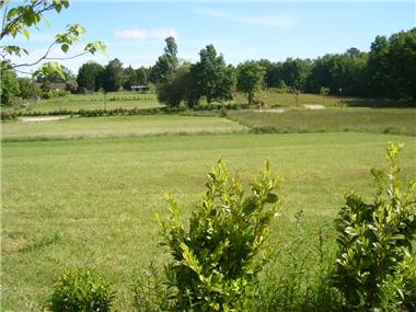 Land for sale in Montpeyroux