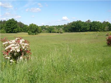 Land for sale in Montpeyroux