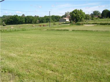 Land for sale in Montpeyroux