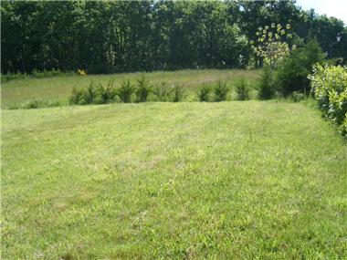 Land for sale in Montpeyroux