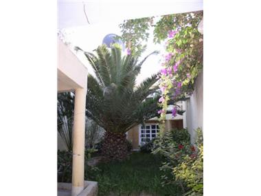 House/Villa for sale in Agadir (Region de Souss-Massa-Draa)