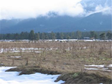 Land/Ruins for sale in Bansko (Blagoevgrad)