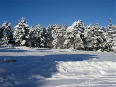 Land/Ruins for sale in Bansko (Blagoevgrad)