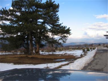 Land/Ruins for sale in Bansko (Blagoevgrad)