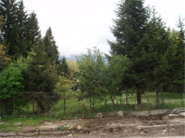 Land/Ruins for sale in Bansko (Blagoevgrad)