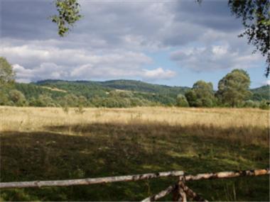 Land/Ruins for sale in Borovets (Kyustendil)