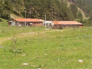Land/Ruins for sale in Borovets (Kyustendil)