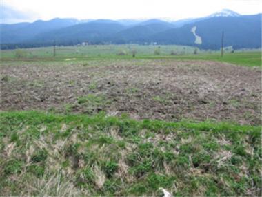 Land/Ruins for sale in Borovets (Kyustendil)