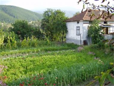 House/Villa for sale in Borovets (Kyustendil)