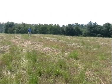 Land/Ruins for sale in Gabrovo (Kurdzhali)