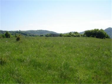 Land/Ruins for sale in Gabrovo (Kurdzhali)